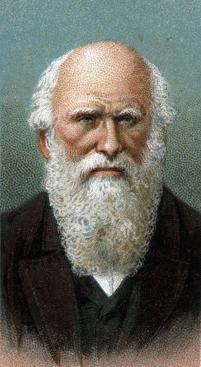 Charles Robert Darwin (1809-1882) portréja – „A férfiak vezetői” sorozatból” – Kromolitográfia – Angol iskola, XX. század – alkotó: English School