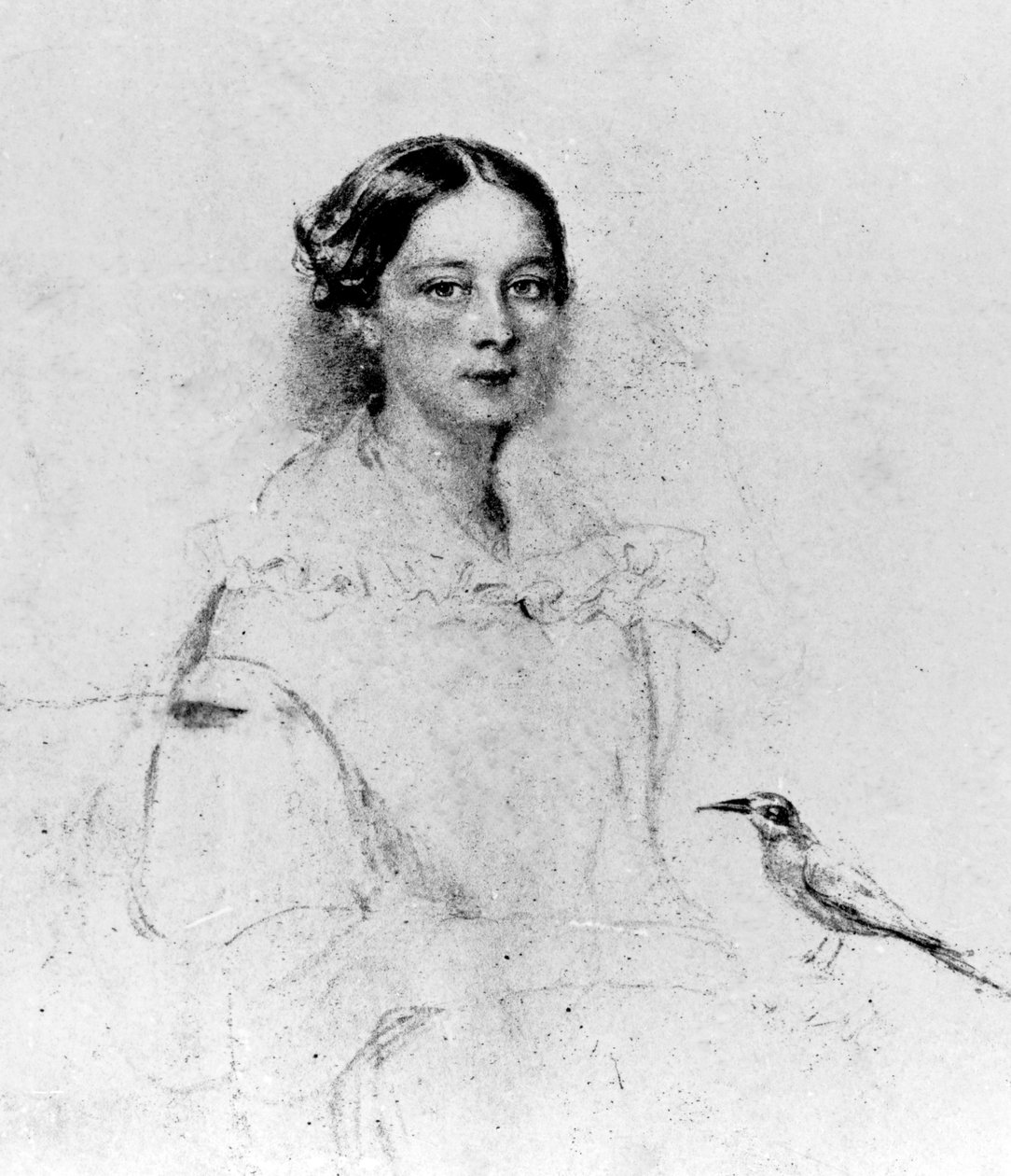 Emily Shore (1819-1839) portréja, 19. század (rajz) alkotó: English School