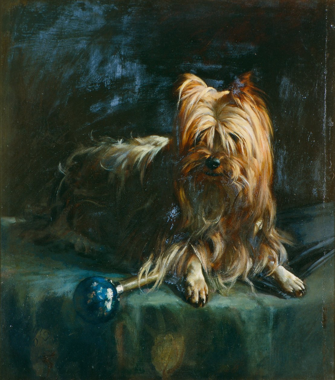Jim portréja; egy yorkshire terrier alkotó: English School