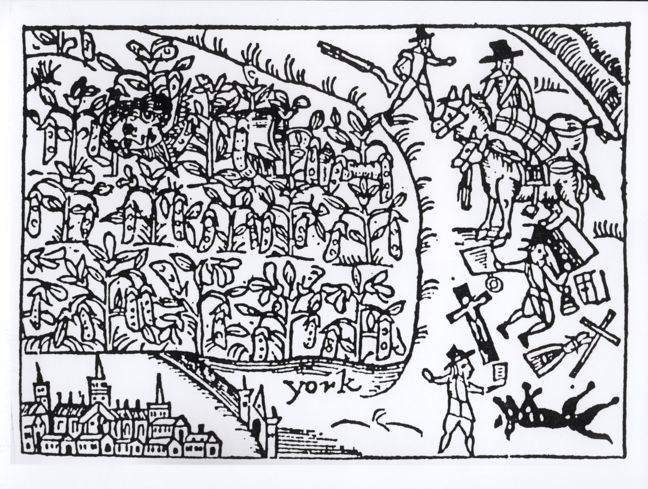 Rupert herceg (1619-82) egy babmezőben bujkált a Marston Moor-i csatában 1644. július 2-án alkotó: English School