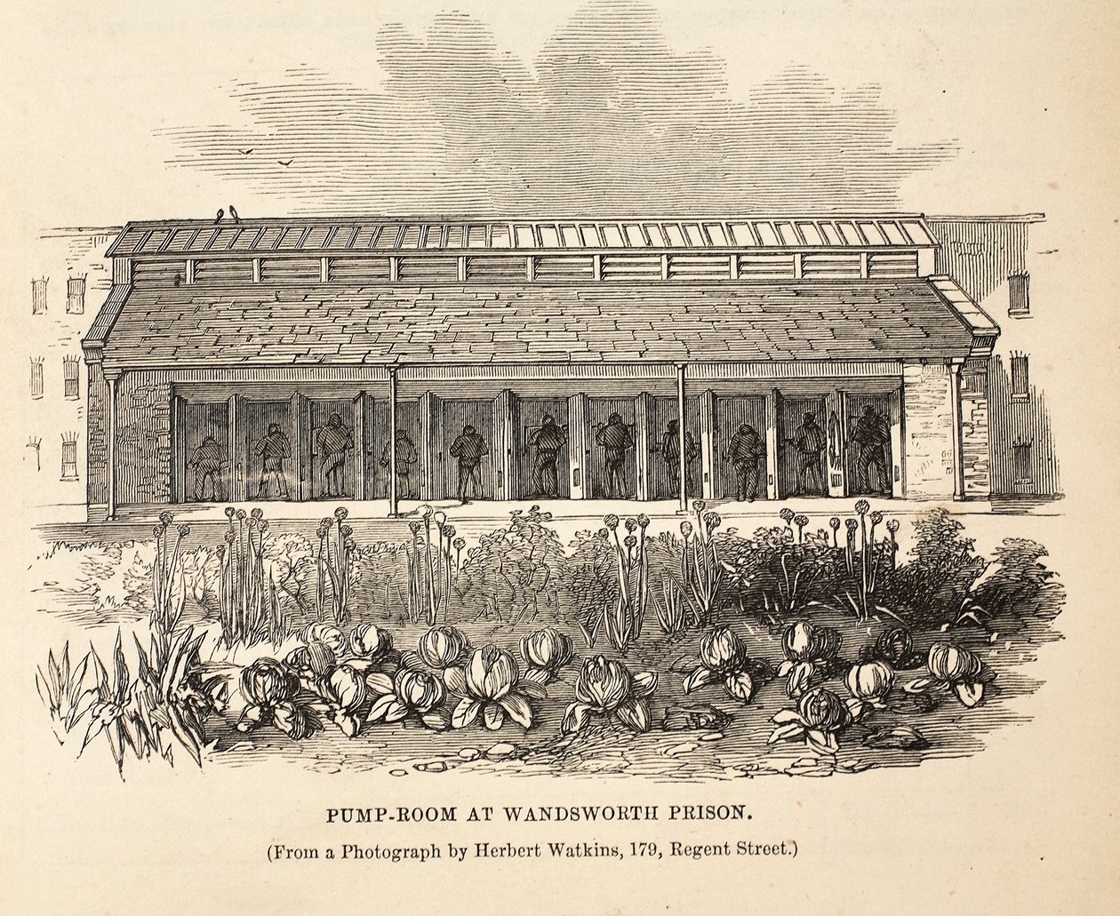 Pump-room a Wandsworth börtönben, illusztráció a The Criminal Prisons of Londonból és jelenetek a börtönéletből Henry Mayhew és John Binny, pub. 1862 alkotó: English School