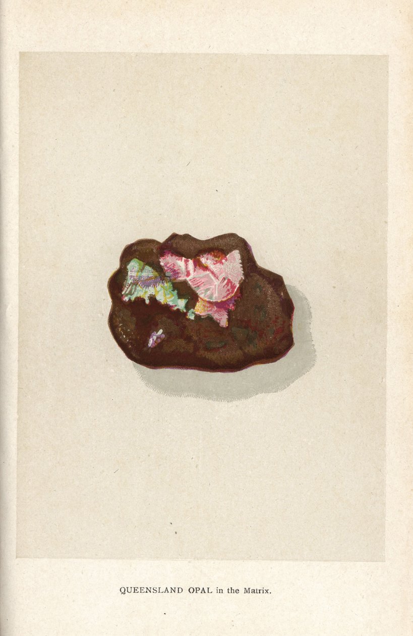 Queensland opál a mátrixban, Edwin Streeter "Precious Stones and Gems" című művéből, London, George Bell & Sons alkotó: English School