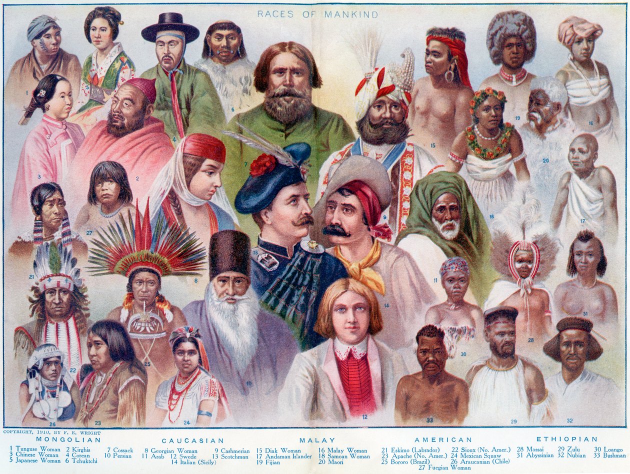 Races of Mankind, a Brit Birodalom Egyetemei Modern Angol Illustrated Dictionary, pub.1914 alkotó: English School