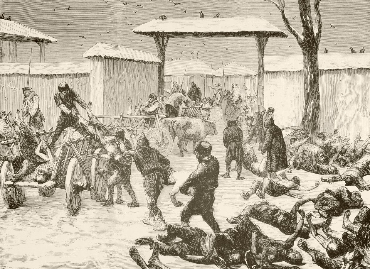 Halottak helyreállítása Plevna, Bulgária 1877-es ostroma után (litho) alkotó: English School