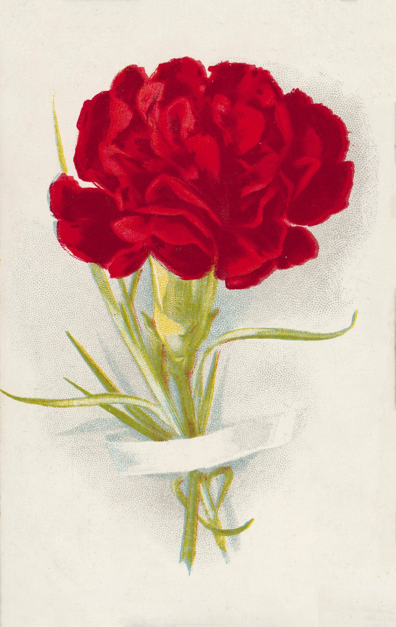 Vörös szegfű (chromolitho) alkotó: English School