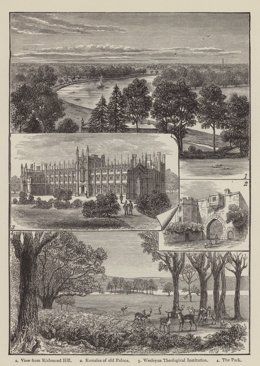 Richmond (metszet) alkotó: English School