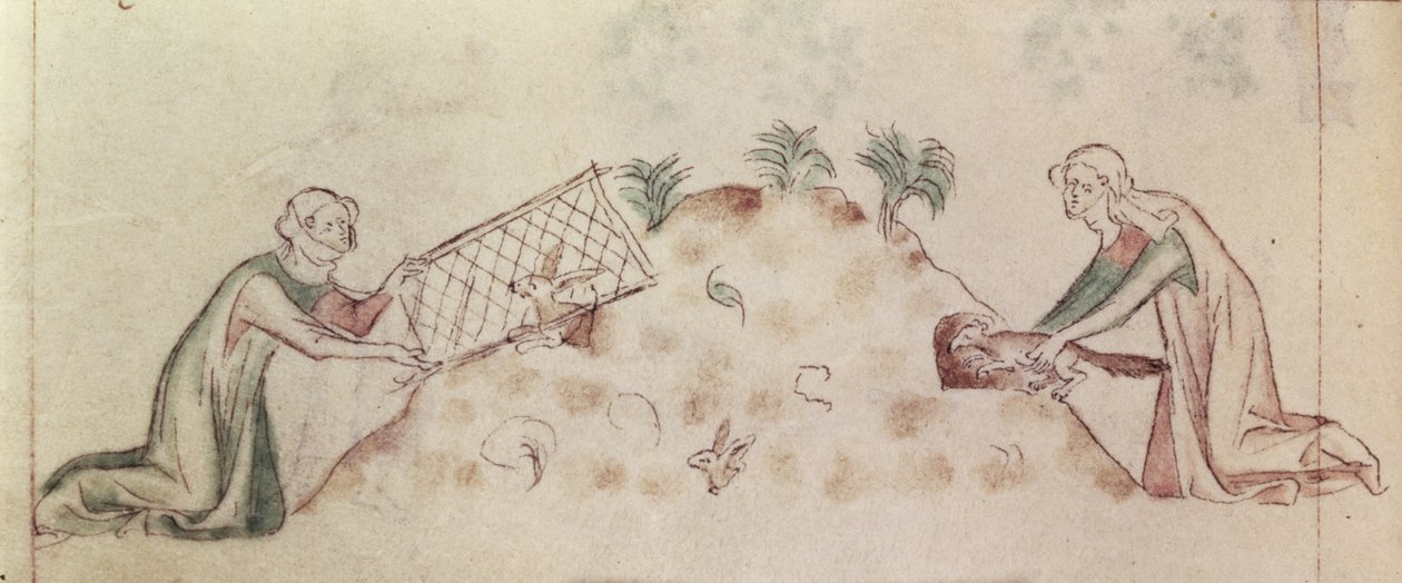 Roy 2 B VII f.155v Nők, akik hálóval fogtak nyulat és egy görényt, a „Zsoltáros Mária királynőből”, 1310-20 körül (vellum) alkotó: English School