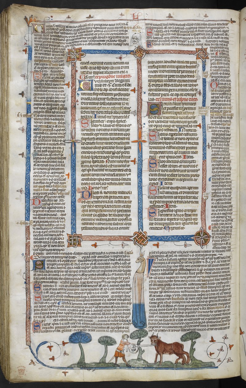 Királyi 10 E IV fol. 294v Ember megtámad egy ökröt, a Smithfield Decretals-tól (Decretals of Gregory IX) 1340 körül (vellum) alkotó: English School