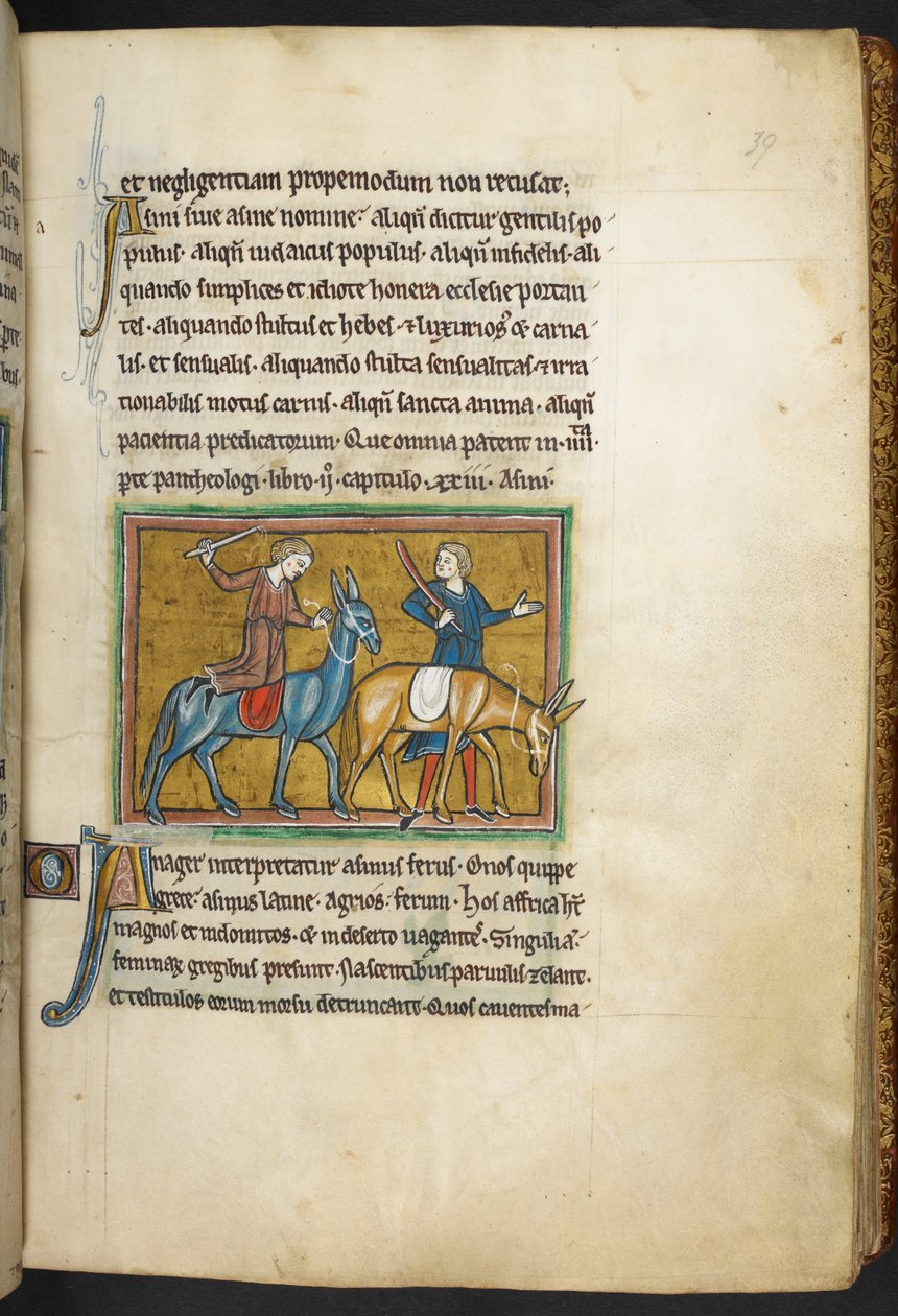Királyi 12 F.XIII, f.39   Két férfi két szamár férfival. , Bestiaryból (ff. 3-141), Lapidary (ff. 141v-149)  , 13. század 2. negyede (vellum) alkotó: English School