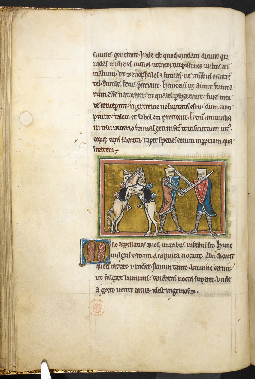 Királyi 12 F.XIII, f.42v Két lovag harcol gyalog karddal, míg lovaik hátulsó lábakon küzdenek egymással. , Bestiaryból (ff. 3-141), Lapidary (ff. 141v-149)  , 13. század 2. negyede (vellum) alkotó: English School