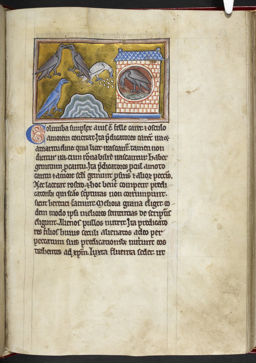 Royal MS 12 C XIX f.54r Doves, 