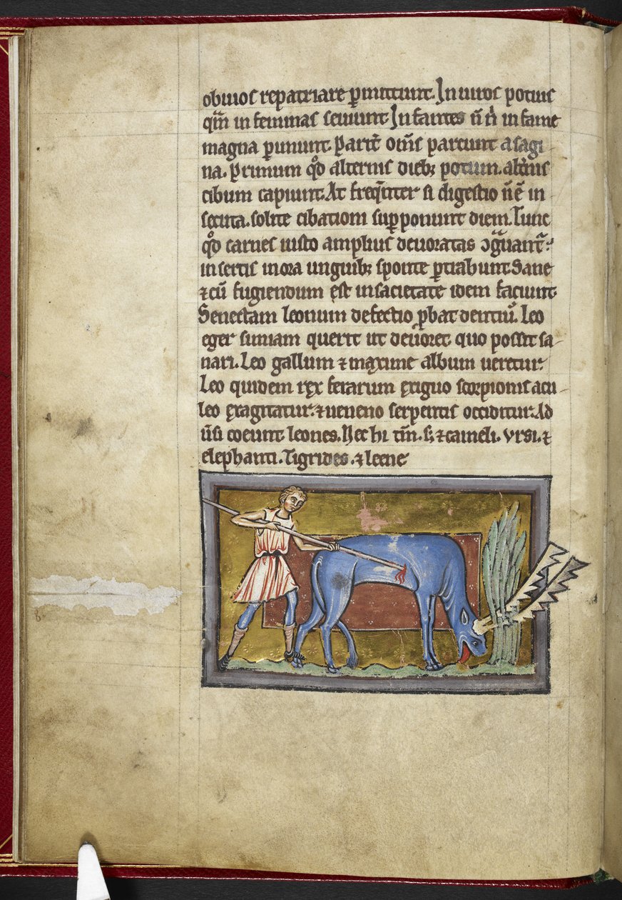 Royal MS 12 C XIX, f.7v Antilop, 