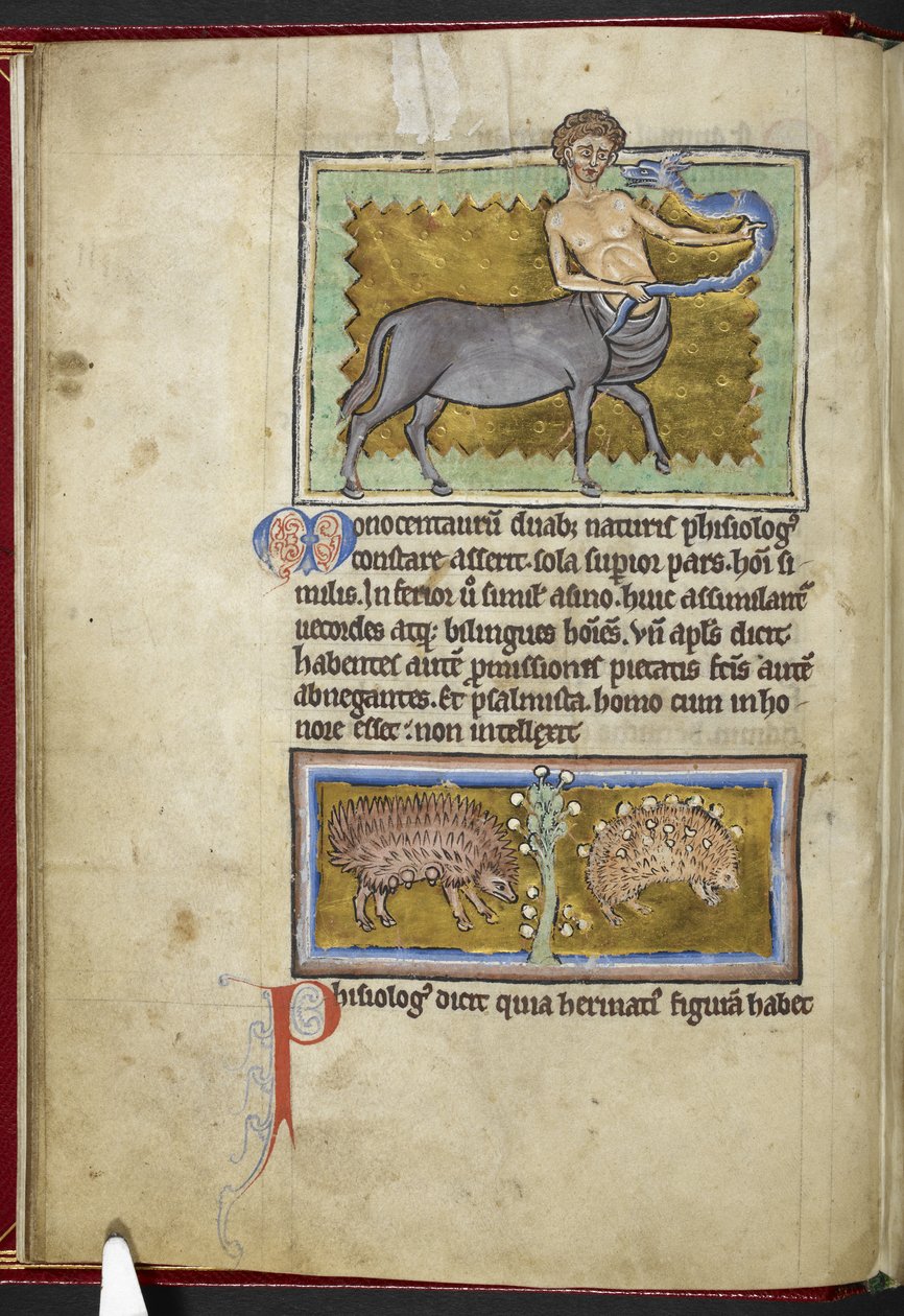 Royal MS 12 C XIX, f.8v Centaur, 