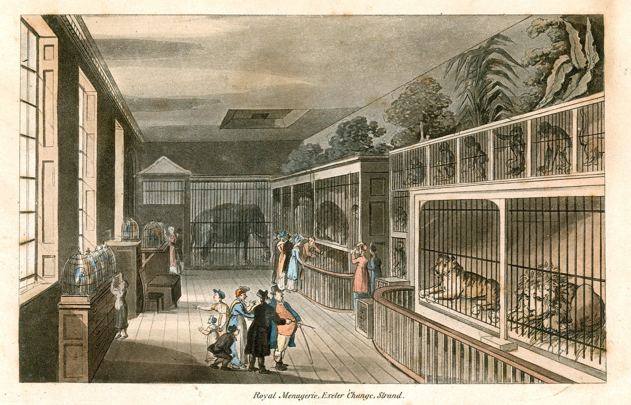 Royal Menagerie, Exeter Change, Strand (színes metszet) alkotó: English School