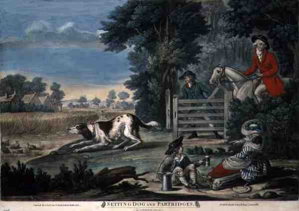Setting Dog and Partridges, pub. szerző: Carington Bowles (fl.1744-93) alkotó: English School