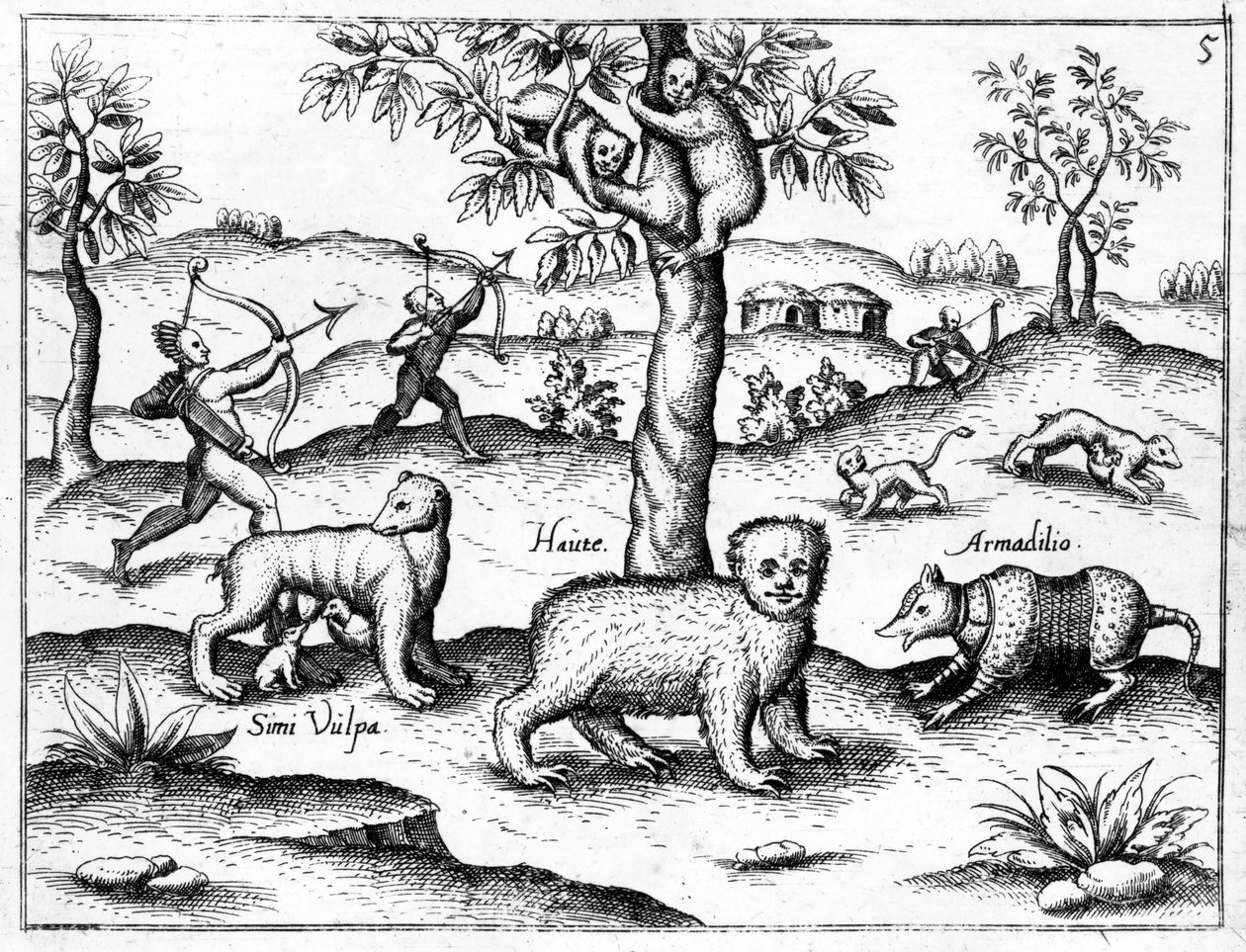 Simi Vulpa, Haute and Armadilio, illusztráció Sir Walter Raleigh „The Discovery of Guyana” című művéből, megjelent 1599 körül alkotó: English School