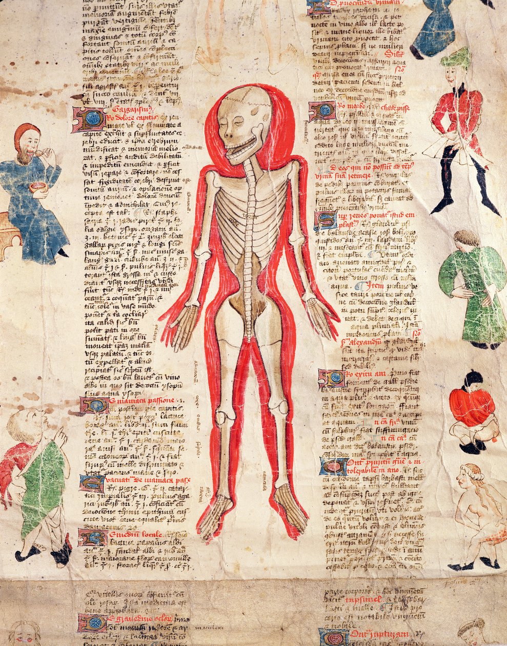 Csontváz, John Ardene De arte phisicali e de cirugia című művéből, 1412 alkotó: English School