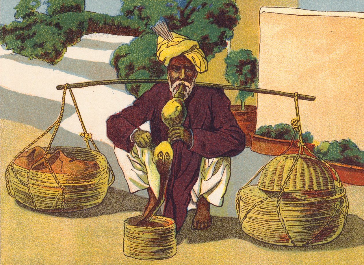 Kígyóbűvölő, India (színes litográfia) alkotó: English School