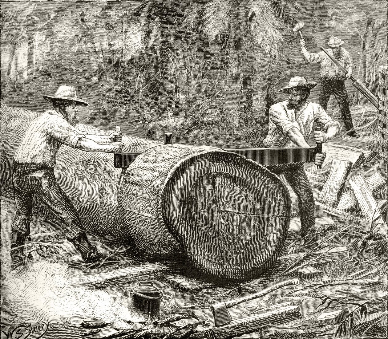 Splitters in the Bush, 1880 körül, Howard Willoughby „Australian Pictures” című művéből, a Religious Tract Society, London, 1886 alkotó: English School