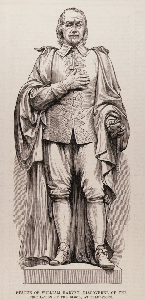 William Harvey (1578-1657), a vérkeringés felfedezőjének szobra Folkestone-ban, az Illustrated London Newsból, 1881. augusztus 13. alkotó: English School