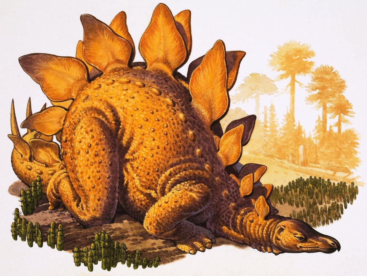 Stegosaurus (gouache, papír) alkotó: English School