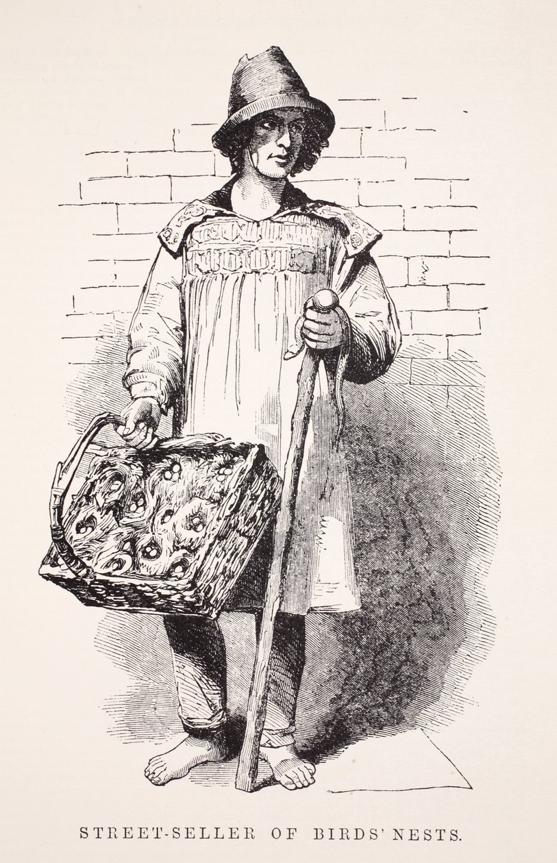 Madárfészkek utcai eladója, Henry Mayhew illusztrációja a London Labor and London Poor-ból, pub. 1862 alkotó: English School