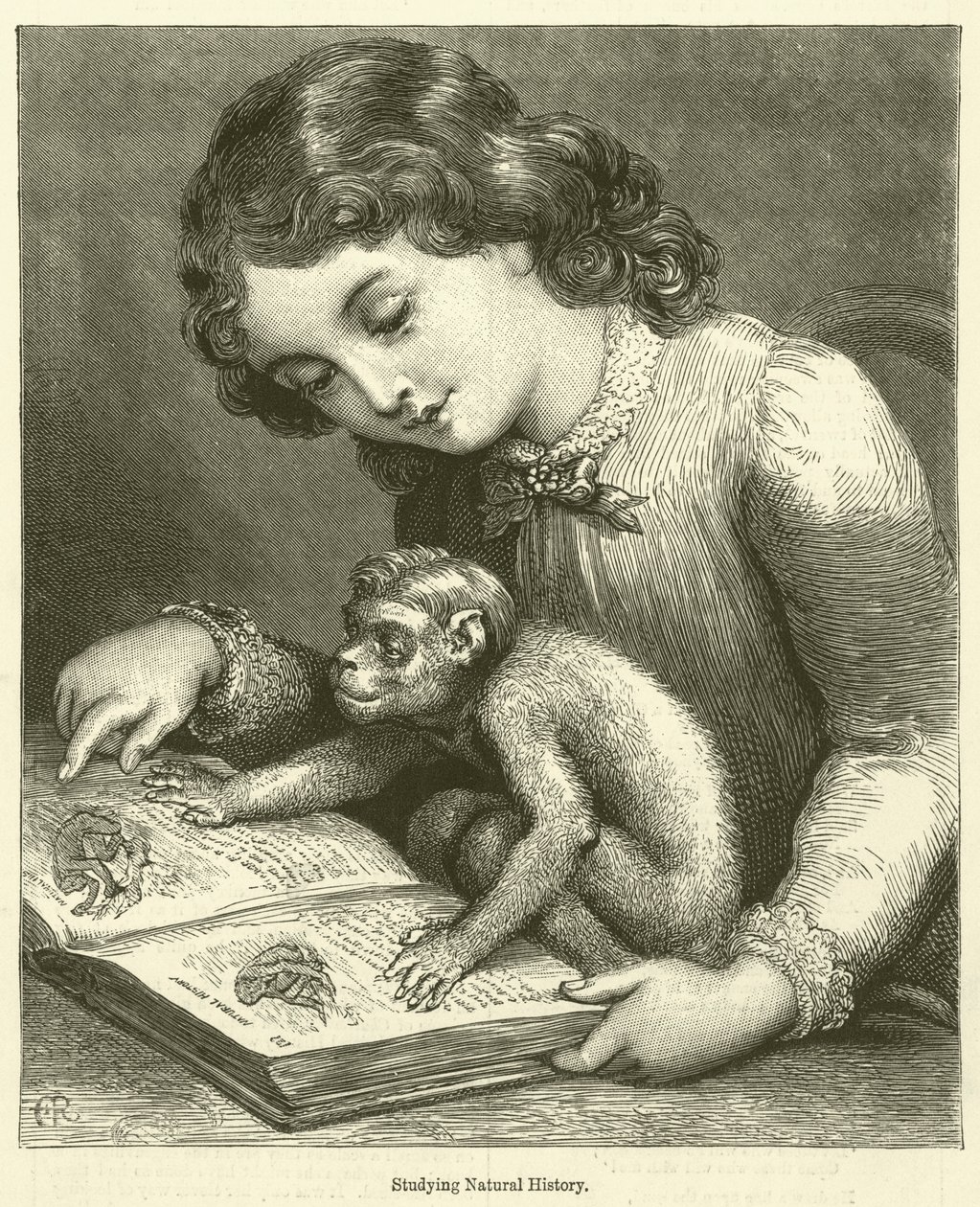 Természettudományi tanulmányok (metszet) alkotó: English School