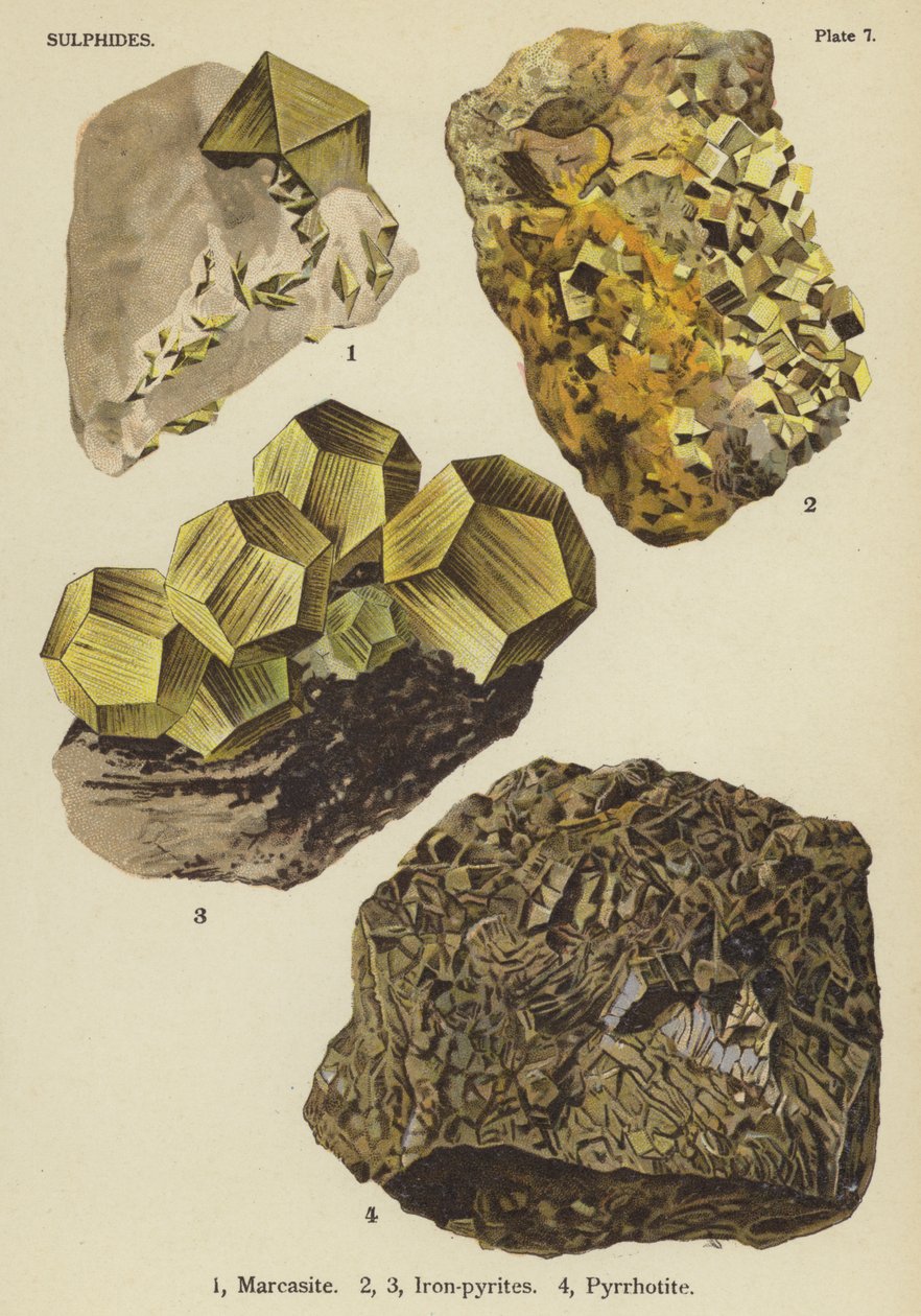 Szulfidok, markazit, vas-pirit, pirrhotit (színes litográfia) alkotó: English School