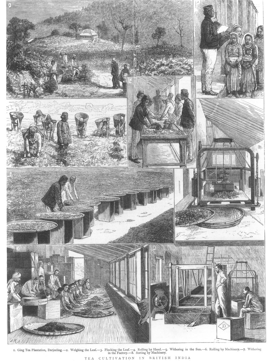 Teatermesztés Brit-Indiában, 1876 alkotó: English School