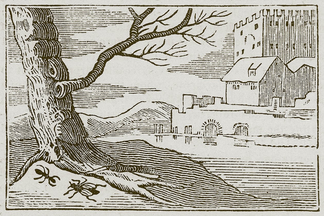 A hangya és a légy (metszet) alkotó: English School