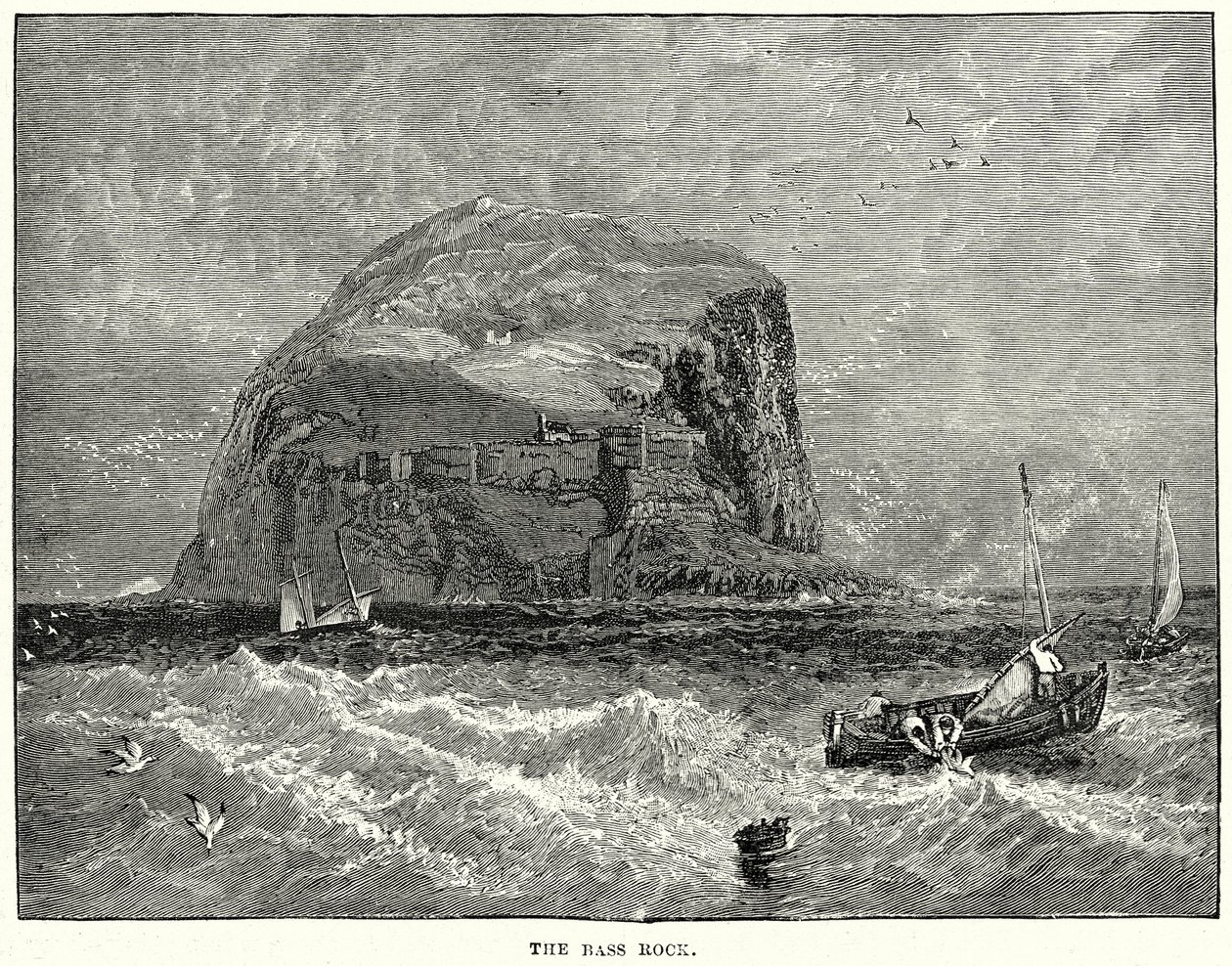 A Bass Rock (metszet) alkotó: English School