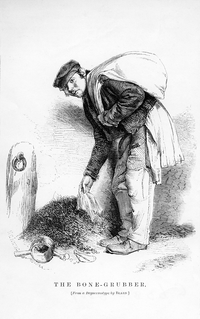 A Bone-Grubber alkotó: English School