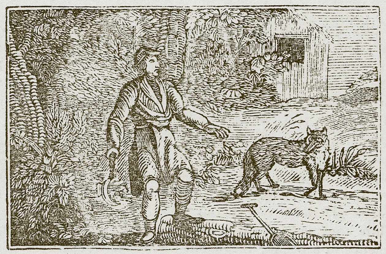 A róka és a paraszt (metszet) alkotó: English School