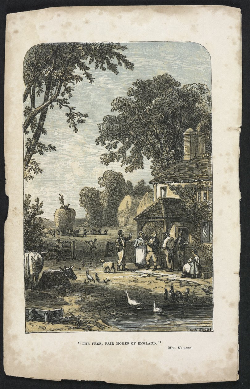 The Free, Fair Homes of England, illusztráció a „Beeton