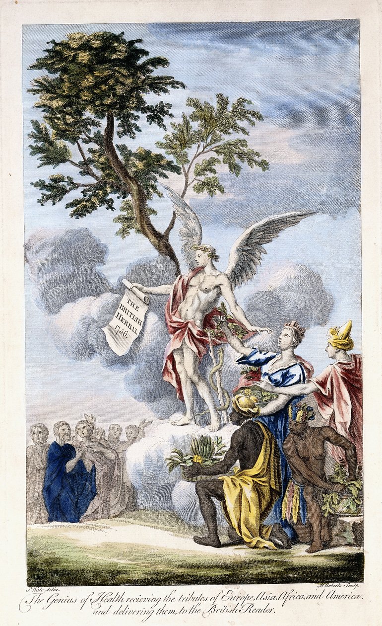 Az egészség géniusza, aki befogadja Európát, Ázsiát, Afrikát és Amerikát, és eljuttatja a brit olvasóhoz, 1756-1757 alkotó: English School