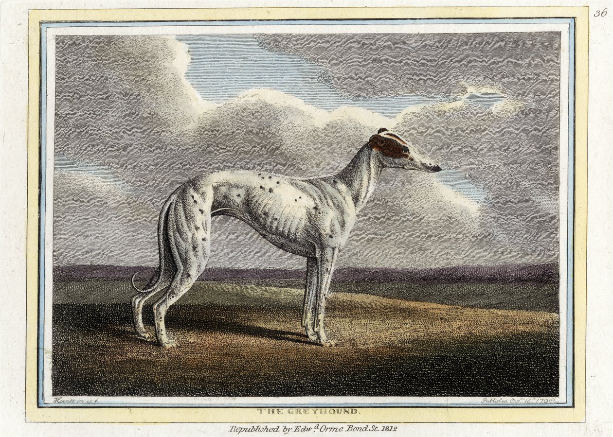 The Greyhound, kocsma. 1812 (kézzel színezett metszet) alkotó: English School