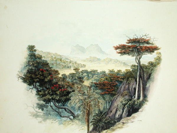 A hegyek, Ceylon (akvarell papíron) alkotó: English School