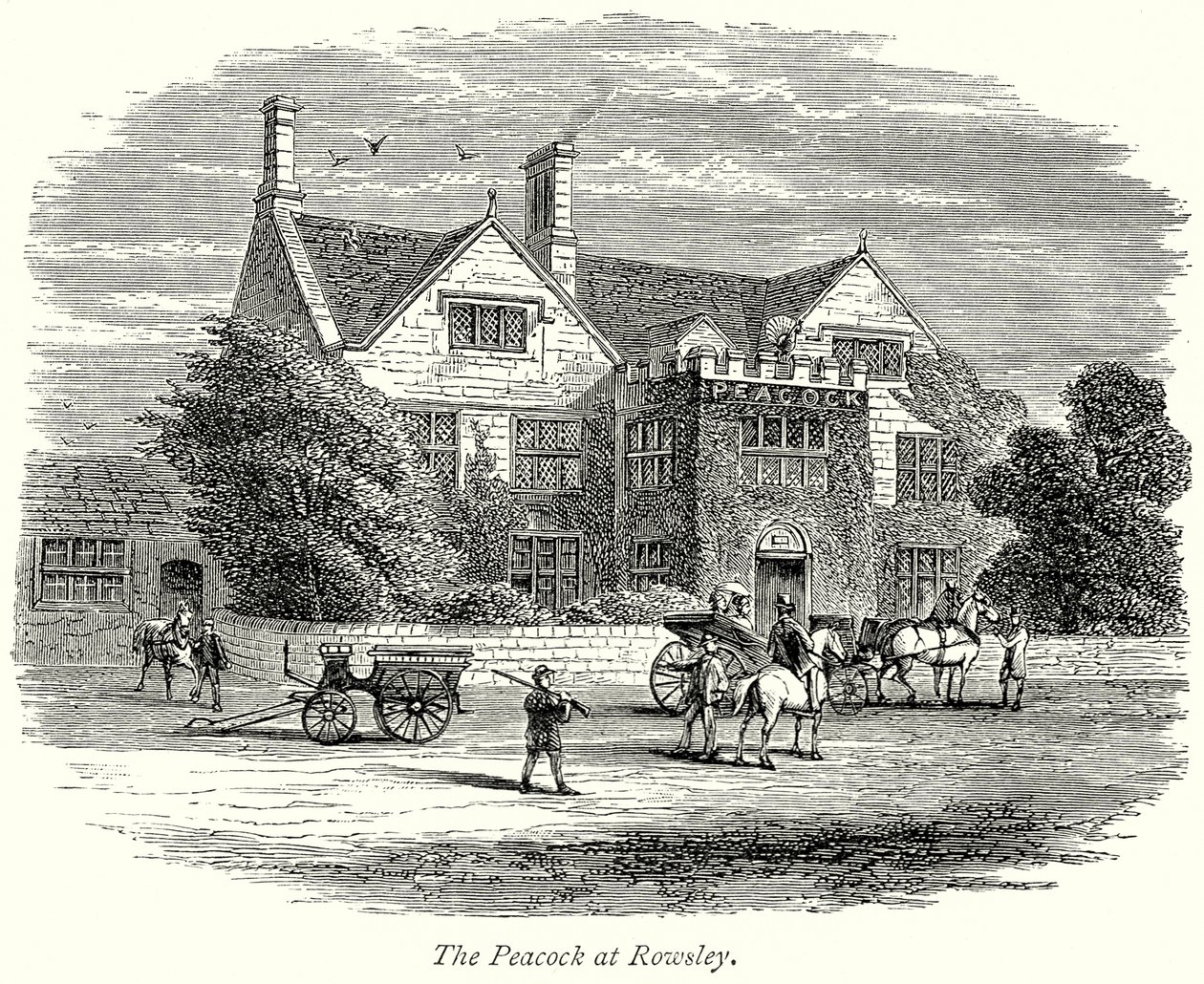 A Rowsley-i páva (metszet) alkotó: English School
