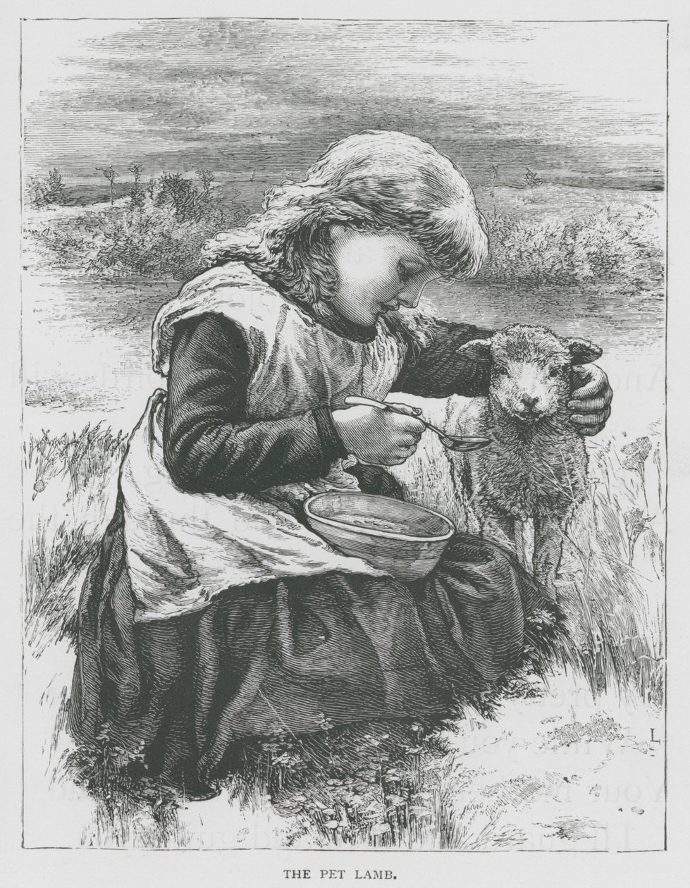 A kisállat bárány (metszet) alkotó: English School