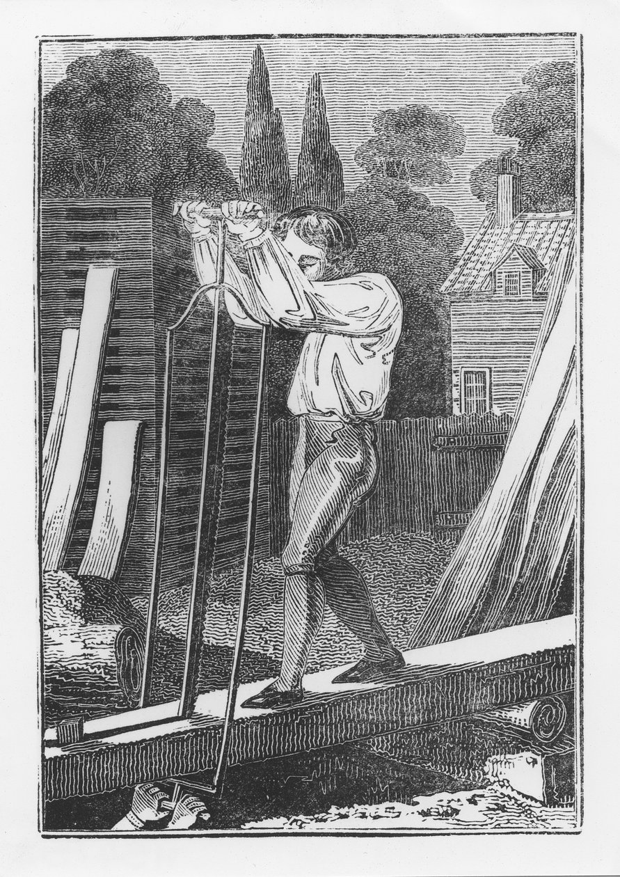 The Sawyer, Az ifjú kereskedő vagy az angol mesterségek könyvéből, 1839 alkotó: English School