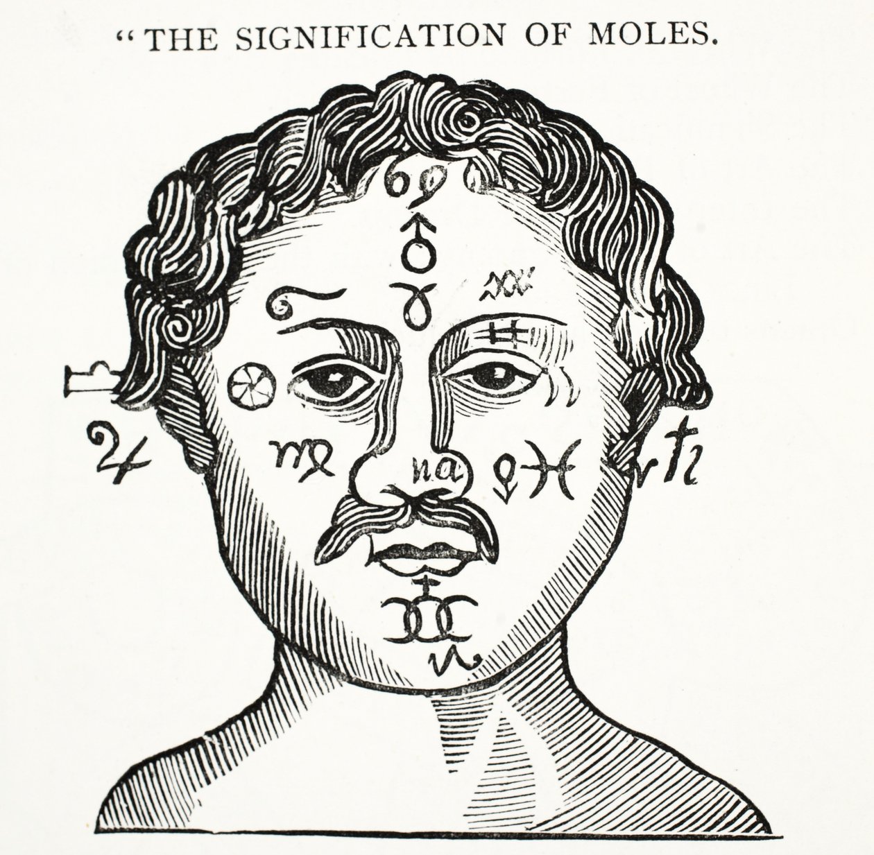 The Signification of Moles, illusztráció a Chap-books of the Eightenth Century, John Ashton, pub. 1882 alkotó: English School