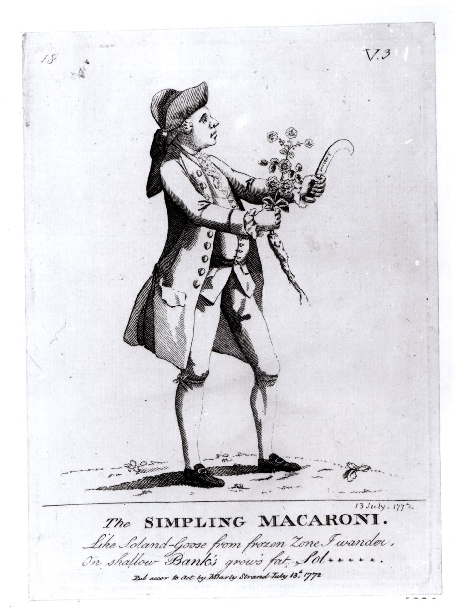 Az egyszerű makaróni, pub. N. Darly, 1772. július 13. (metszet) (bw fotó) alkotó: English School