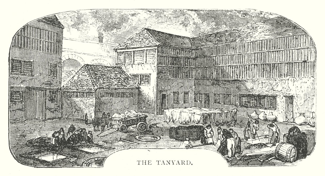 A Tanyard (metszet) alkotó: English School