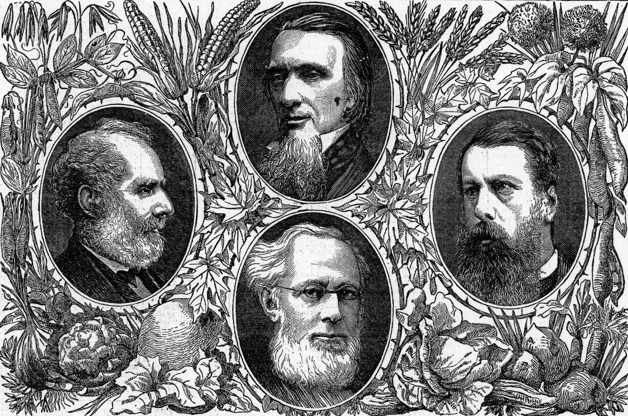 A vegetáriánus rendszer – A Vegetáriánus Társaság néhány vezető tagja, megjelent a The Graphic-ban, 1874 alkotó: English School
