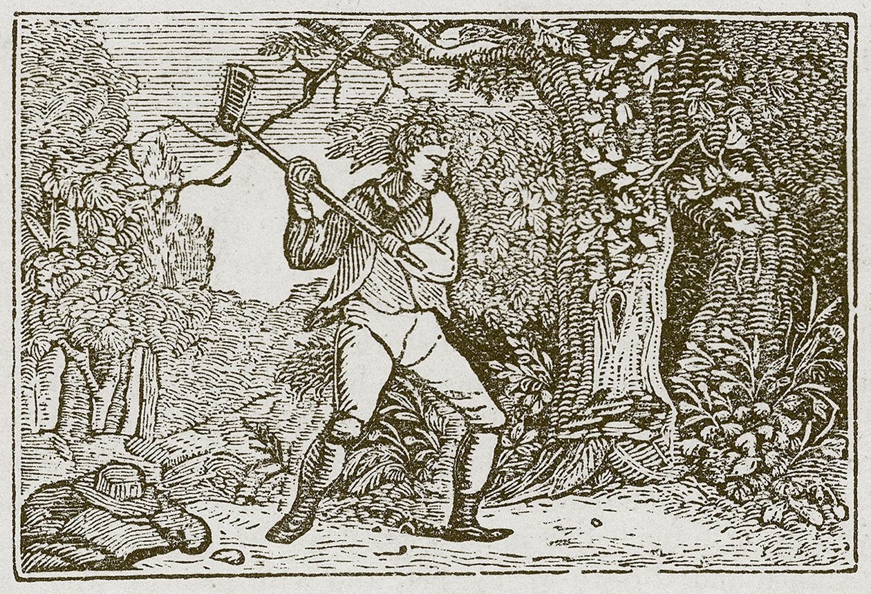 Az erdő és a bohóc (metszet) alkotó: English School