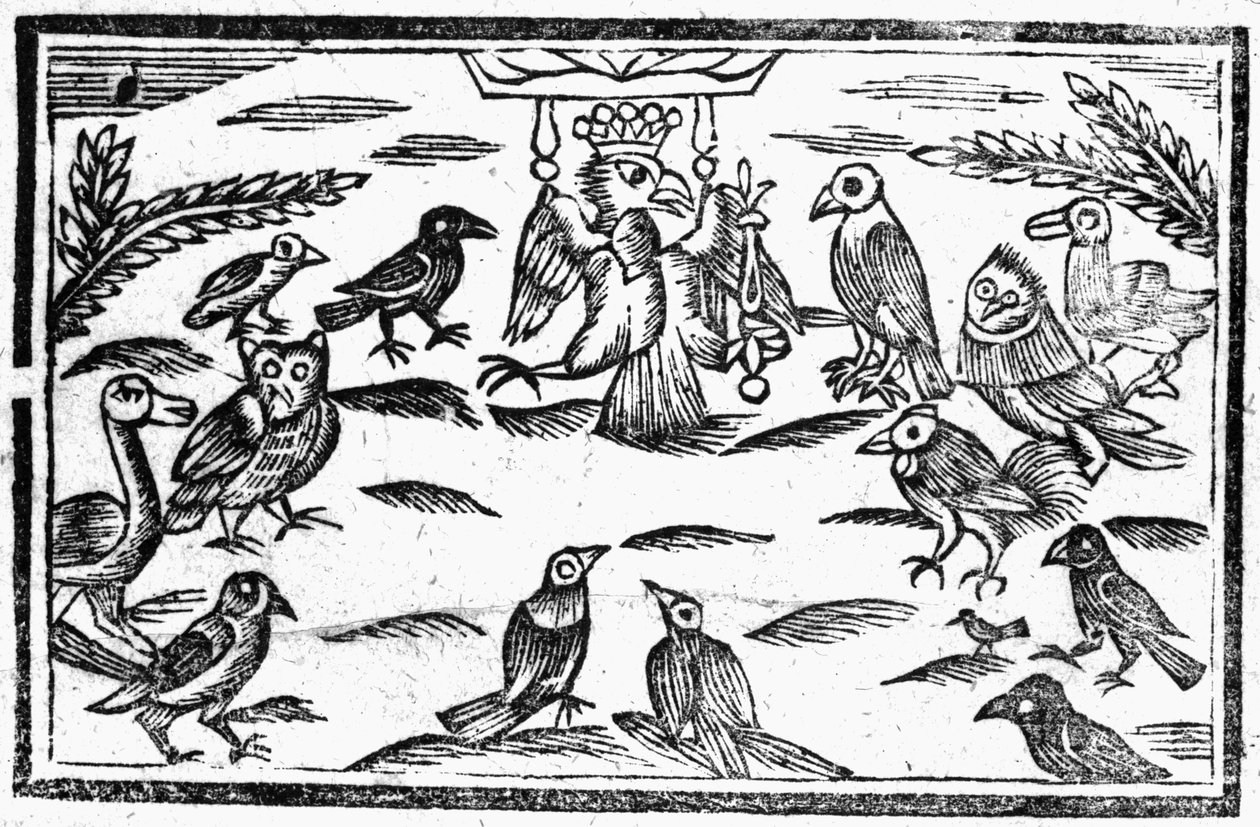 The Woody Choristers vagy The Birds Harmony, illusztráció a Roxburghe-balladák könyvéből alkotó: English School