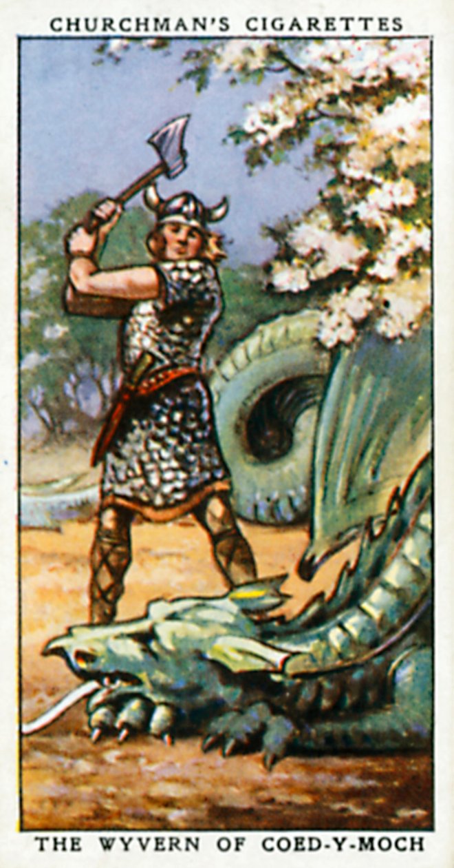 A Coed-Y-Moch-i Wyvern (színes litográfia) alkotó: English School