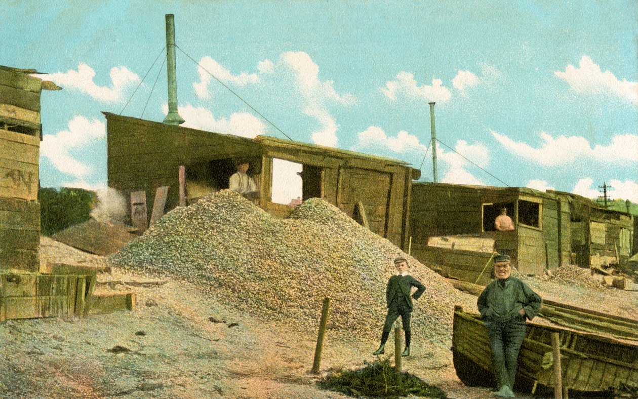 Kagyló istállók az óvárosban, Leigh-on-Sea, Essex, Anglia (színes litho) alkotó: English School