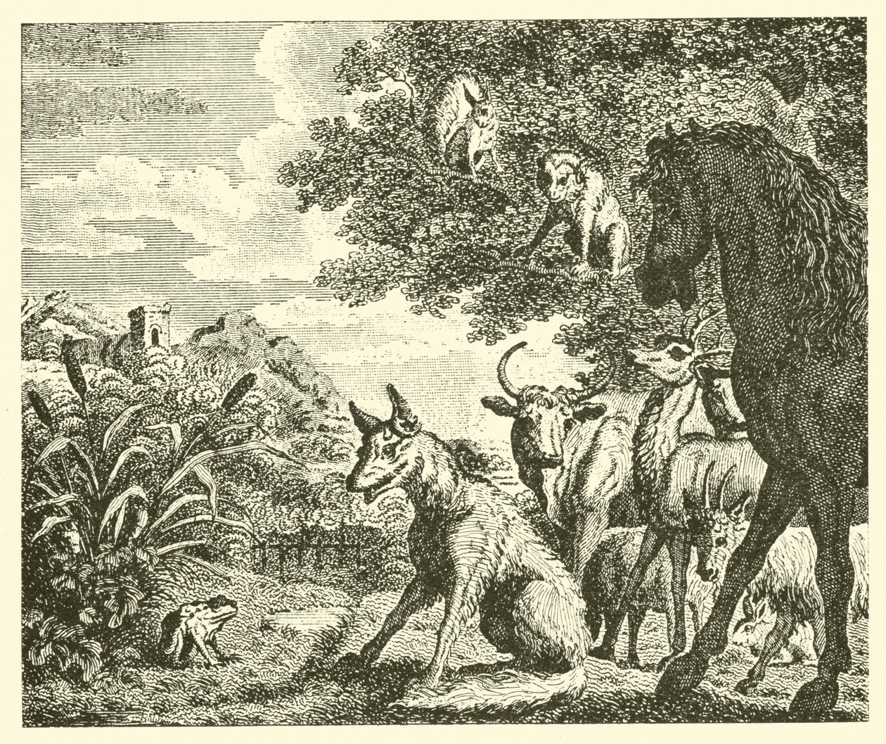 A béka és a róka (metszet) alkotó: English School