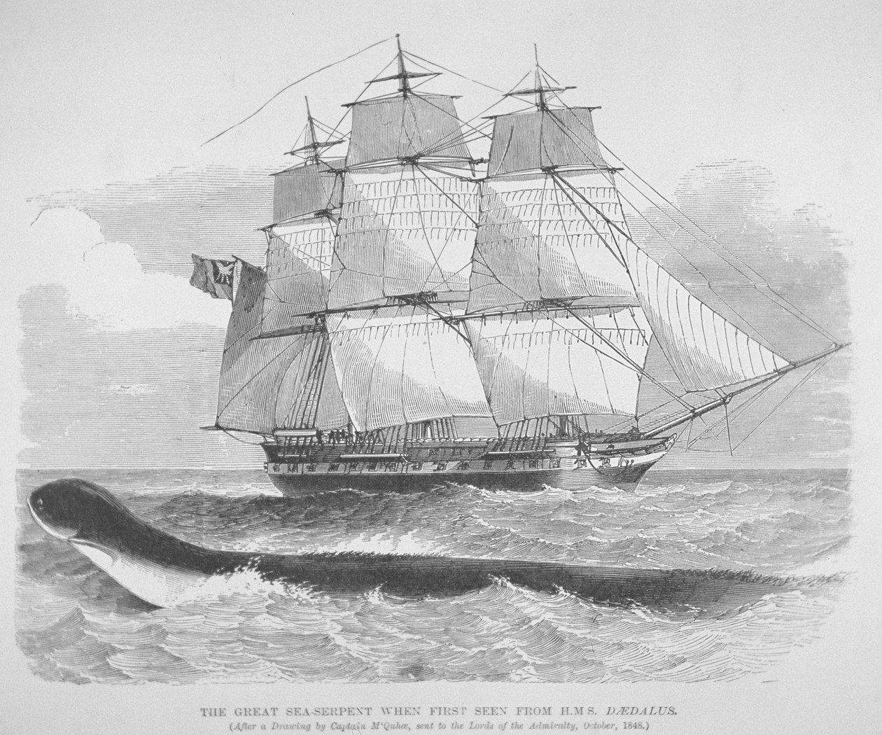 A nagy tengeri kígyó, amikor először látták a HMS Daedalusról 1848-ban, 1848 körül (metszet) alkotó: English School